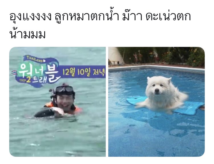 อาอง✨ tweet media