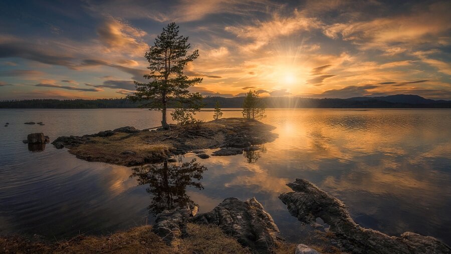 andrespeneke's tweet photo. Spring Light by Ole Henrik Skjelstad https://t.co/Hklx9sKZ8s