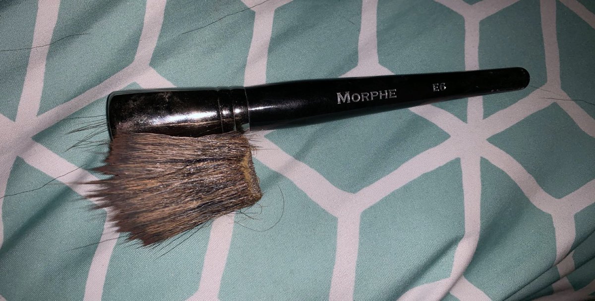 melindacstr's tweet photo. My heart is heavy.... I have no words... I held her in my hands as I washed her and i saw her slowly slip away out of this world on to better life. #Morphe #E6 #SheWillBeMissed #SheWasntEvenAYearOld https://t.co/uoc2aE0aCM