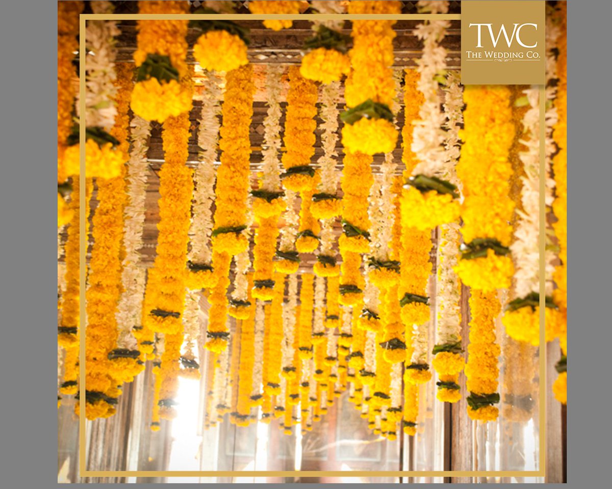 TheWeddingCo_In's tweet photo. All the flowers of the tomorrows is in the seeds of today. Are you looking for a floral decor like this?
#Flowerdecor #WeddingDecor #Floraldecor #theweddingco #TWC #MarigoldDecor #BeautifulDecor #DecorOptions
#IndianWeddings
#Traditionaldecor https://t.co/otMsxVJSFM