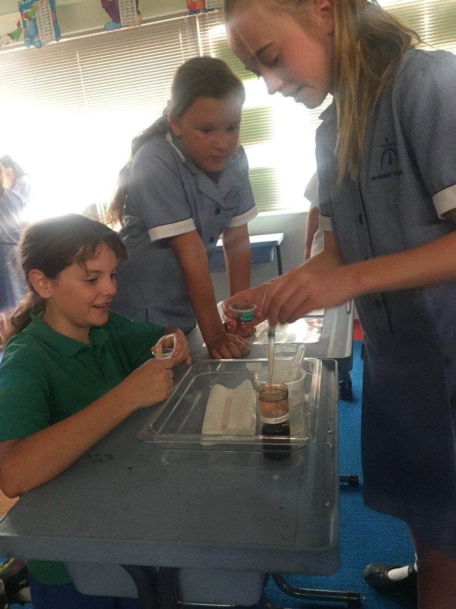 skilcs's tweet photo. Thank you @ScitechWA for helping us to #collaborate, #create, be #challenged &amp; #celebrate our love for Science and hands-on learning 💡 @NewmanCollegeWA @KWarchomij https://t.co/xdIUTp1qoB