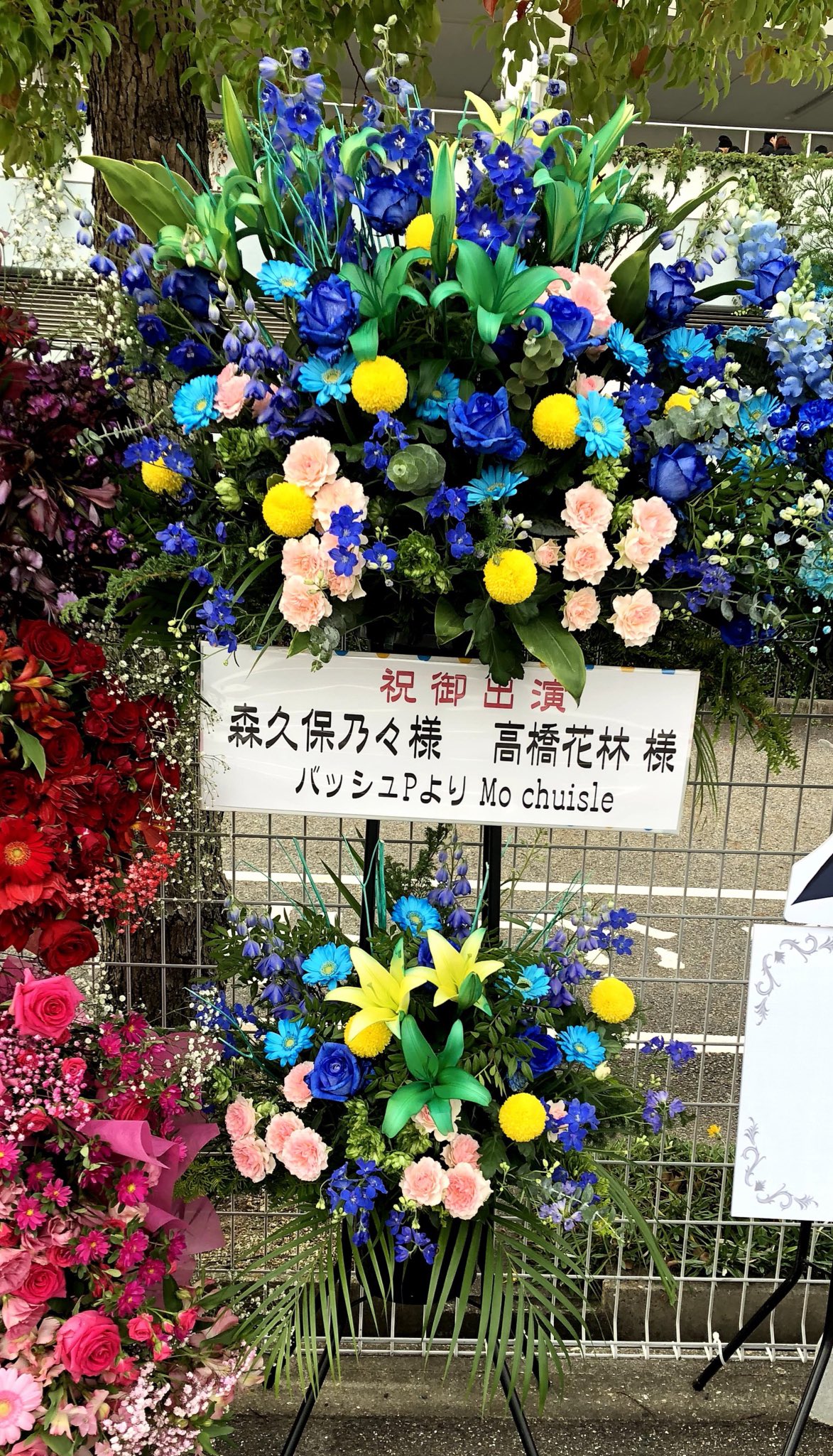 高橋花林 お花 お手紙 プレゼントありがとうございます プレゼントは郵送していただいたので 後日受け取ります 楽しみです フラスタすごいよ リスだったり クールカラーだったり インディヴィジュアルズだったり 嬉しいです ありがとう