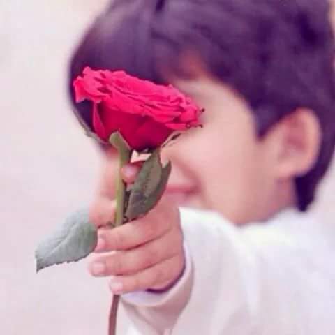 U9dmks6FL2yyb2s's tweet image. صباح الخير لِكل روح تُخبي بين أضلاعها حلماً يلامس عُنق السمّاء

#Hadeel