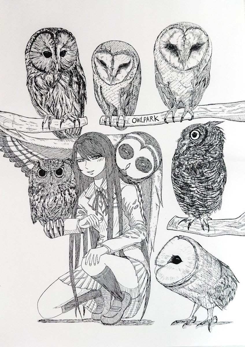 フクロウイラスト Twitter Search Twitter