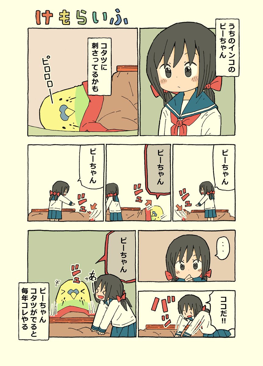 コタツが大好きピーちゃん 