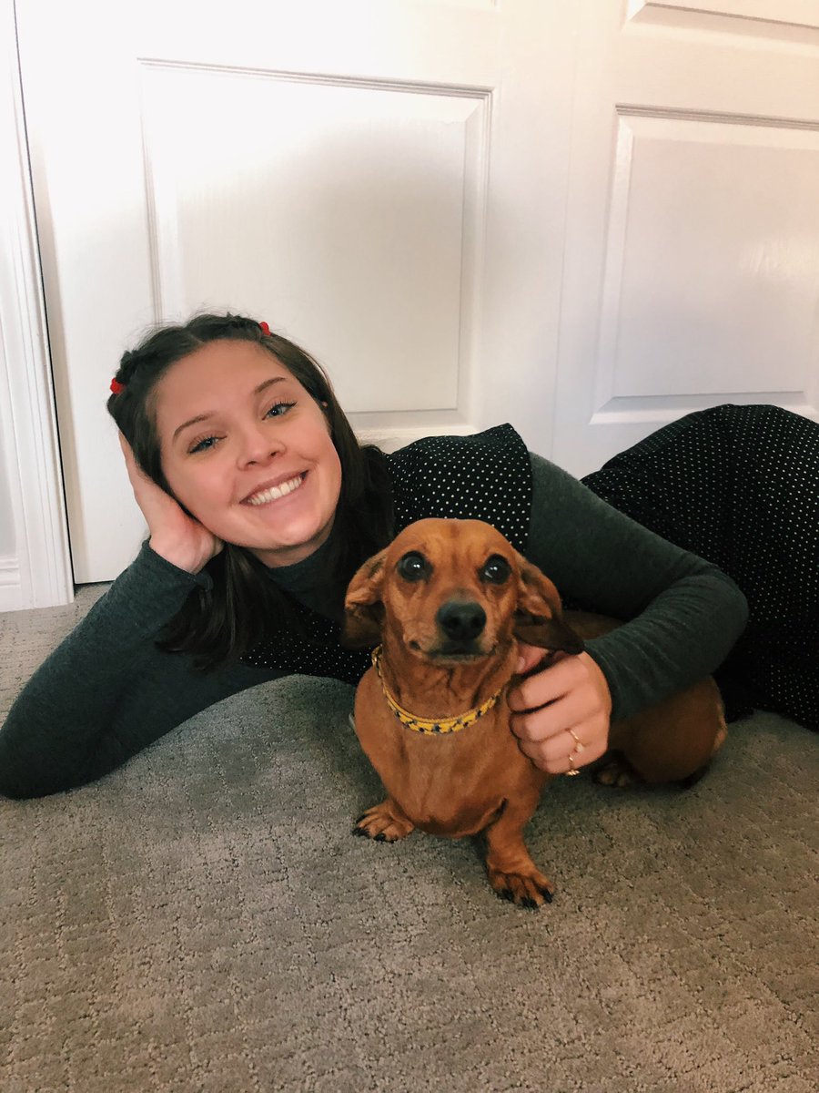 First time meeting a wiener dog