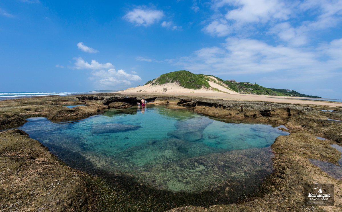 MachanguloBeachLodge (@machangulobeach) on Twitter photo Exploring the amazing rock pools around Machangulo Beach Lodge. <a href="/ethos_marketing/">ethos marketing</a> #Travel #oceanbeach #oceanfun #summerfun Exploring the amazing rock pools around Machangulo Beach Lodge. <a href="/ethos_marketing/">ethos marketing</a> #Travel #oceanbeach #oceanfun #summerfun