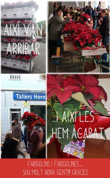 afafarigolaclot's tweet photo. Les ponsèties solidàries de Nadal vesteixen ja les nostres llars. 

Gràcies comissió d'inclusió i @XinoXanoEsplai per aquesta bonica iniciativa!!

https://t.co/Z2yeQv0qb1 https://t.co/4ZiyFwAc9g