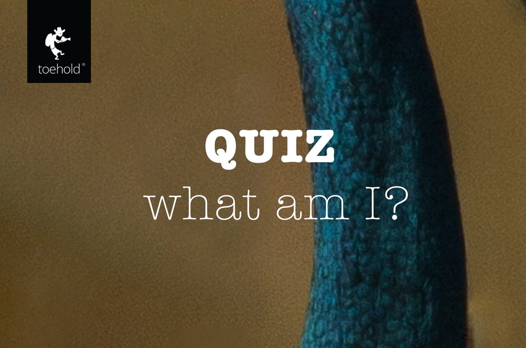 Jayanth_Sharma's tweet photo. It's 4PM now. Guess what animal this is and i'll answer by 6PM. #Quiz. I am guessing this is an easy answer to people who know this tall fellow. Clue: Look in to my eyes... and you shall see. If I am a male or a female. What am I? ------
#ToeholdPhotoTravel #ToeholdContests https://t.co/elAJLidkLs