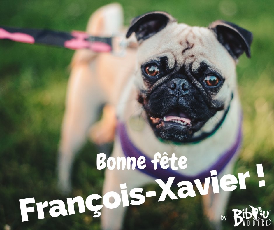 BibouAddict's tweet photo. [Meilleures Pensées] Aujourd'hui c'est la Saint François-Xavier 🎉🎈💫 Bonne fête à eux 😜💙🤗
#jelaimejelemmene #bibouaddict #vacancesavecmonchien #avecmonchien #chien #doglover #vacances #stopabandon #bonnefete https://t.co/WaeOAl4jpq
