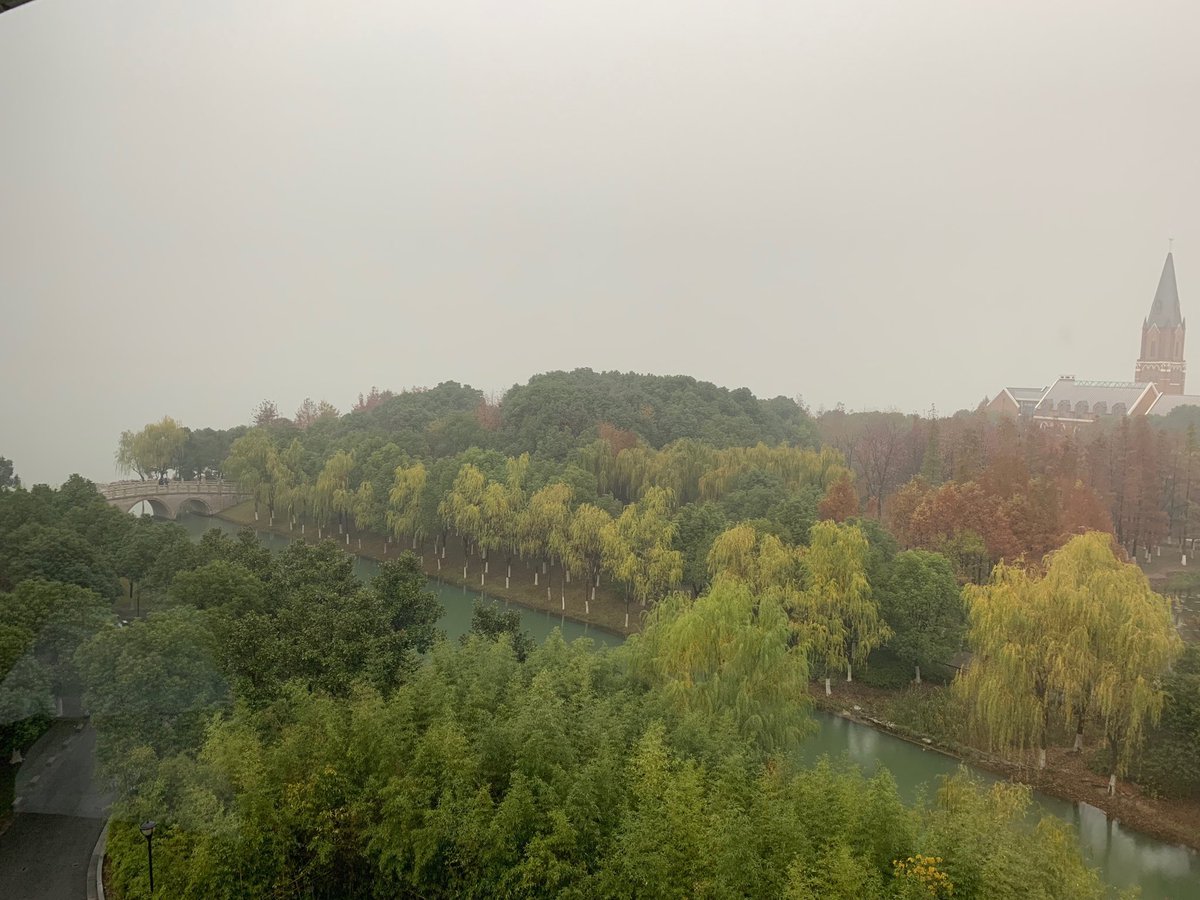 jonykipnis's tweet image. It is supposed to be a lake view but because of the pollution the visibility is terrible. #CSHA Glia meeting