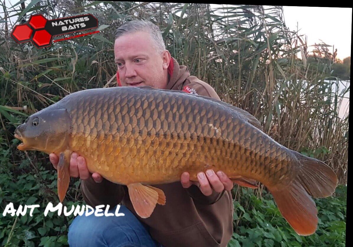 BaitJam's tweet photo. The Nottingham Trio of angling friends getting out and about winter fishing and all catching on various Baits from our ranges 

Get yours here 

https://t.co/XyZpZnpN2C https://t.co/i7XGnsv7Xt