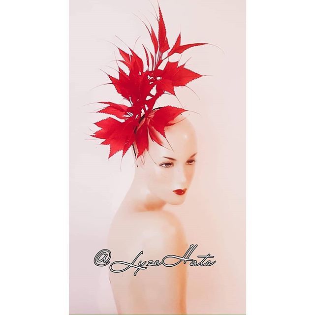 hatladylyze's tweet photo. JACINTHA ~ Floating Spiky Diamond Tail Coque Feathers Piece.
Be Brave! The Aim Is To Flatter The Wearer While Pleasing The Observer.
.
.
.
.
.
.
.
.
.
. .
#ForTheConfidentWoman #ForThatWomanWithStyle
#MakeThatStatementGirl #Bespoke #Weddings #Couture #… https://t.co/aA6tIhyAJg https://t.co/kDAUGOHDJu