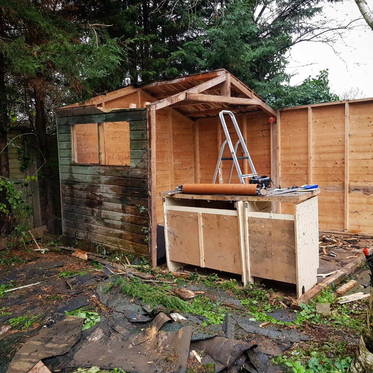 Project 'dismantle' has begun. Out with the old rotten #shed, and onto pruning back the surrounding #trees.. This is fun! 😊 #garden #gardenfacelift