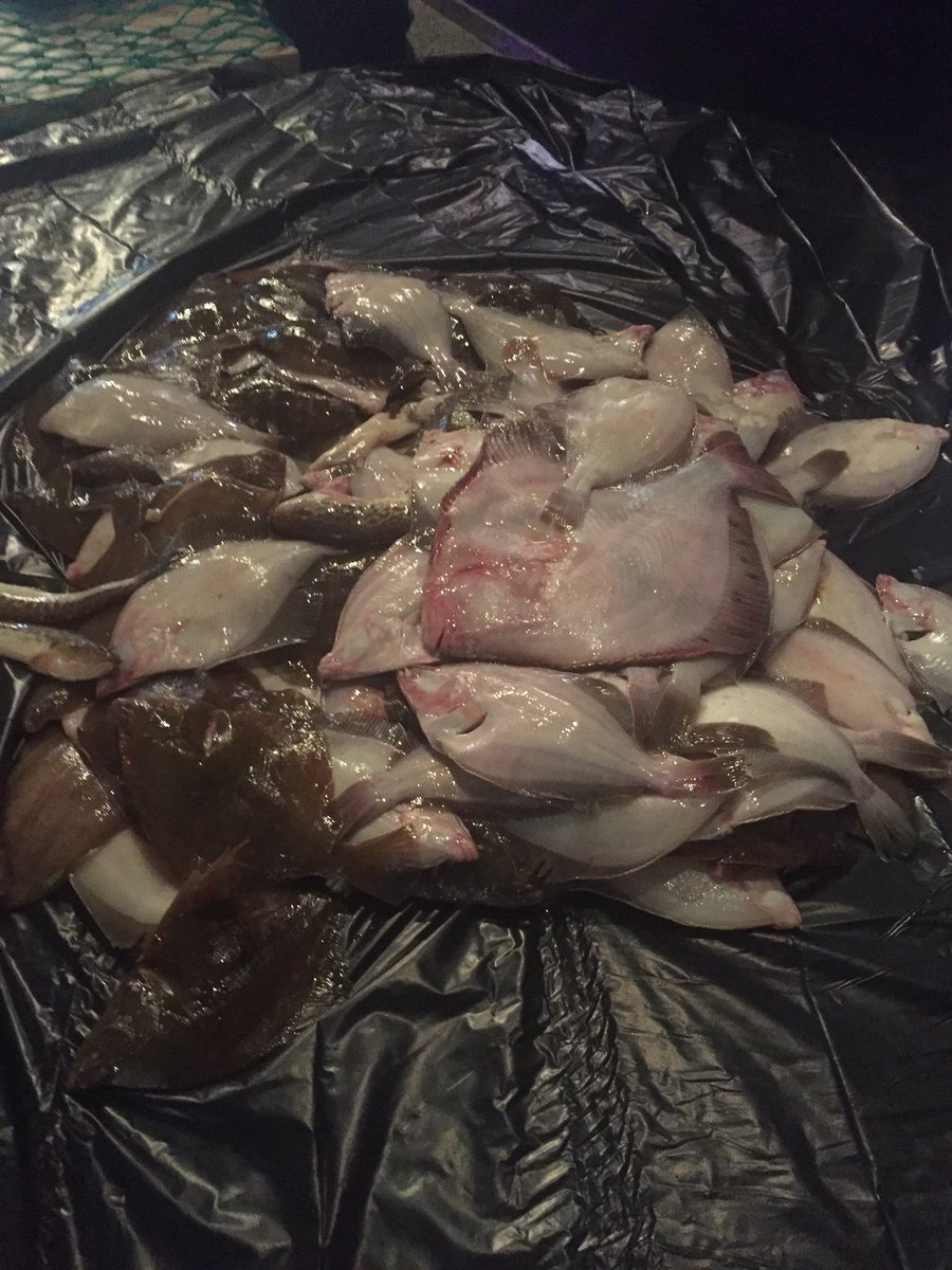 muninnscience's tweet photo. So much fish is just thrown away because consumers (that’s us) only want cod, tuna and salmon! It’s a tragedy. @FilipClaeys at North Sea is showing us that these fish species can taste just as good. #dontwastefood #EatingTheGap https://t.co/G0bJQV4NiO