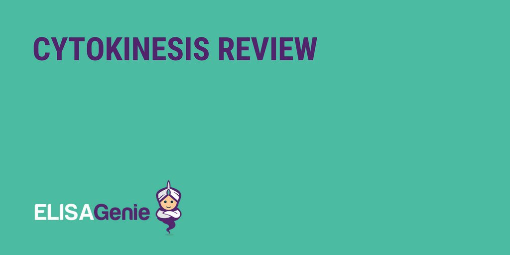 Cytokinesis is the physical separation of a dividing cell into two identical daughter cells.   

Read our full cytokinesis review on ELISA Genie, written by John Bannon PhD:

bit.ly/2F4xLy6

#Cytokinesis #Review #Blog