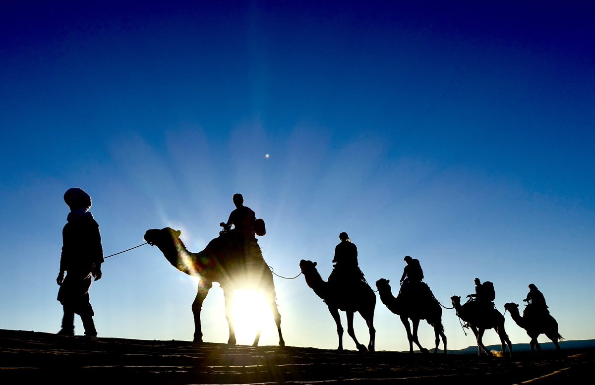 A week ago in the Sahara...