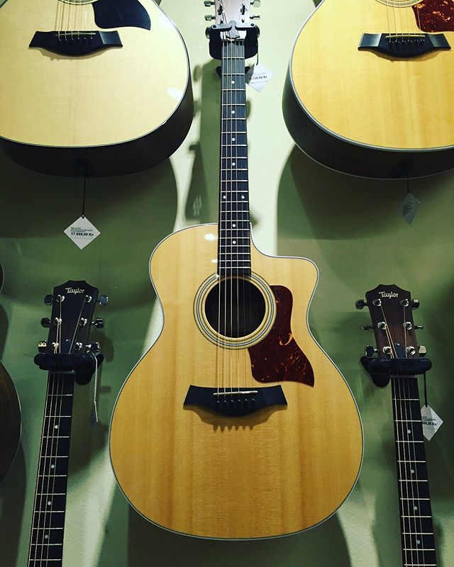 Goin’ Shoppin’? <a href="/taylorguitars/">Taylor Guitars</a> #musician #acoustic #guitar #singer #mannequin #noose #instalife #livemusic #video #music #band #musicphotography #photo #gigphotography #rock #taylor #slowmotionsuicide #awesome #gibson #335 #gig #merch