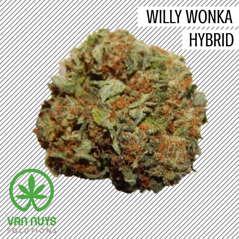 VanNuys25Cap's tweet photo. You'll be high on life with this hybrid!
••••••••••••••••••••••
Follow Van Nuys Solutions for more 📲
••••••••••••••••••••••
#VanNuysSolutions #WillyWonka #Hybrid https://t.co/1Gl4tdNKDW