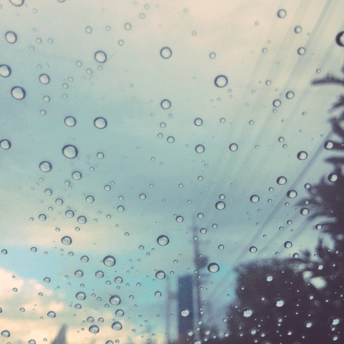 istsi's tweet photo. 今海を見上げたい気分 https://t.co/Z26WfDb3dd