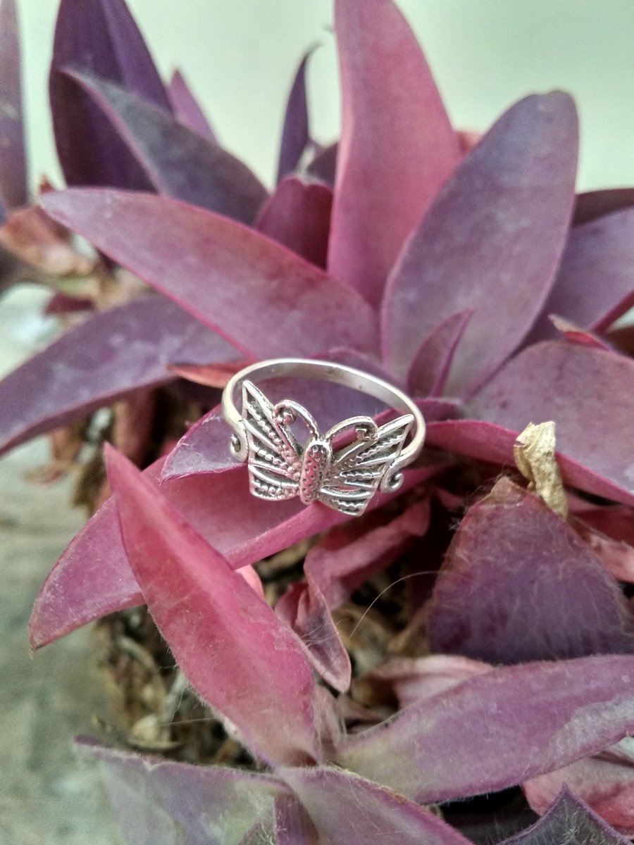 Butterfly Ring In Sterling Silver
Buy At
etsy.com/in-en/listing/…

#butterflyring  #butterflysilverring #butterflyjewelry #moderndesign
#silverbutterflyring #gemstonering #junebirthstonering #ringforher #925sterlingsilver  #stylishdesignerring  #Bridesmaidring  #Attractivering