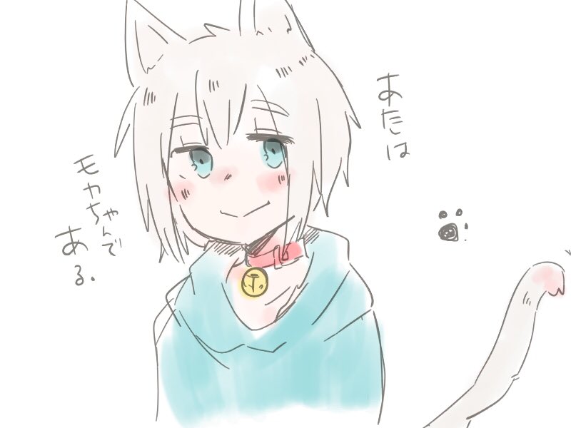 あたしはモカちゃんである🐈