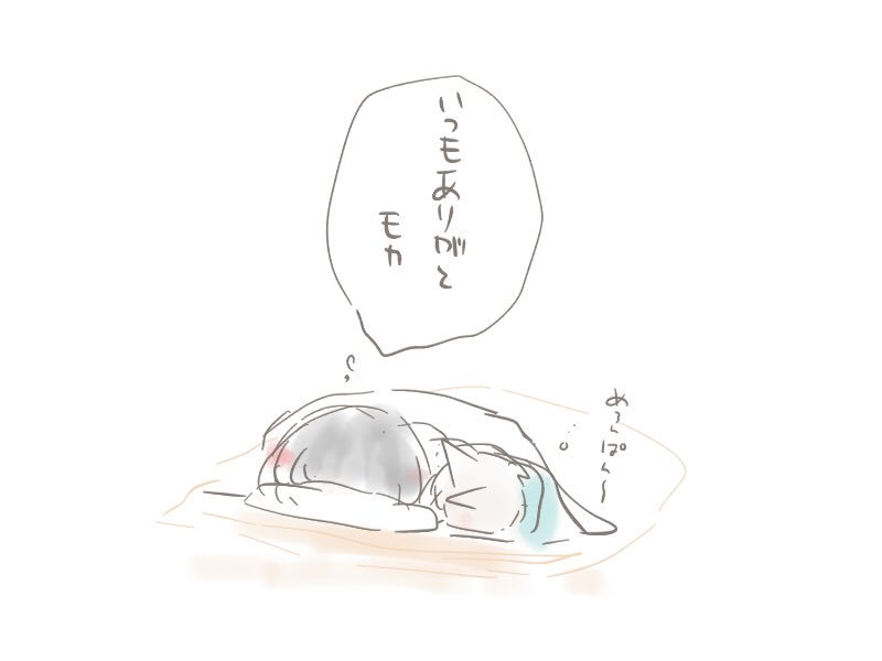 あたしはモカちゃんである🐈