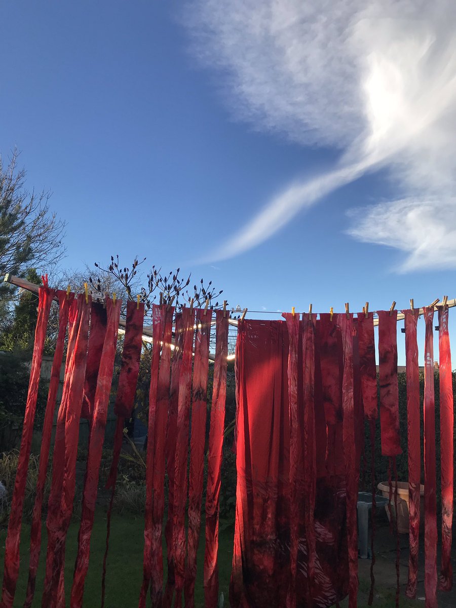 @NRTextiles Tutti Amici’s bespoke designer silk drying in the York sunshine ready for our next performances at Castle Howard on Dec 16th @CastleHowardEst 11am & 1pm and for the Mayors Charity on Dec 12th with @ShepherdBrass youth band at St Olaves @yorkmusichub @forum_york