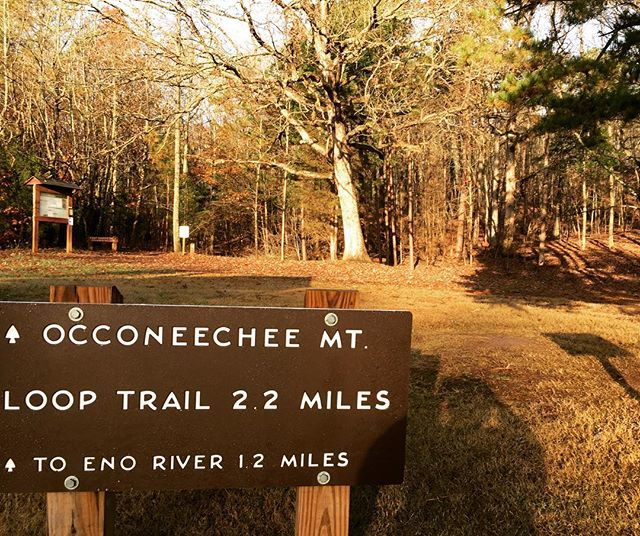 RDUbaton's tweet photo. Good morning! My name is Teresa and I’m excited be carrying the baton today and sharing with you a snapshot of my corner of RDU. I live in Hillsborough and work in Durham. 
This morning I’m starting off showing a place I like to go for little hikes - Occ… https://t.co/3V3hXz66pw https://t.co/Rfodm8mtUL
