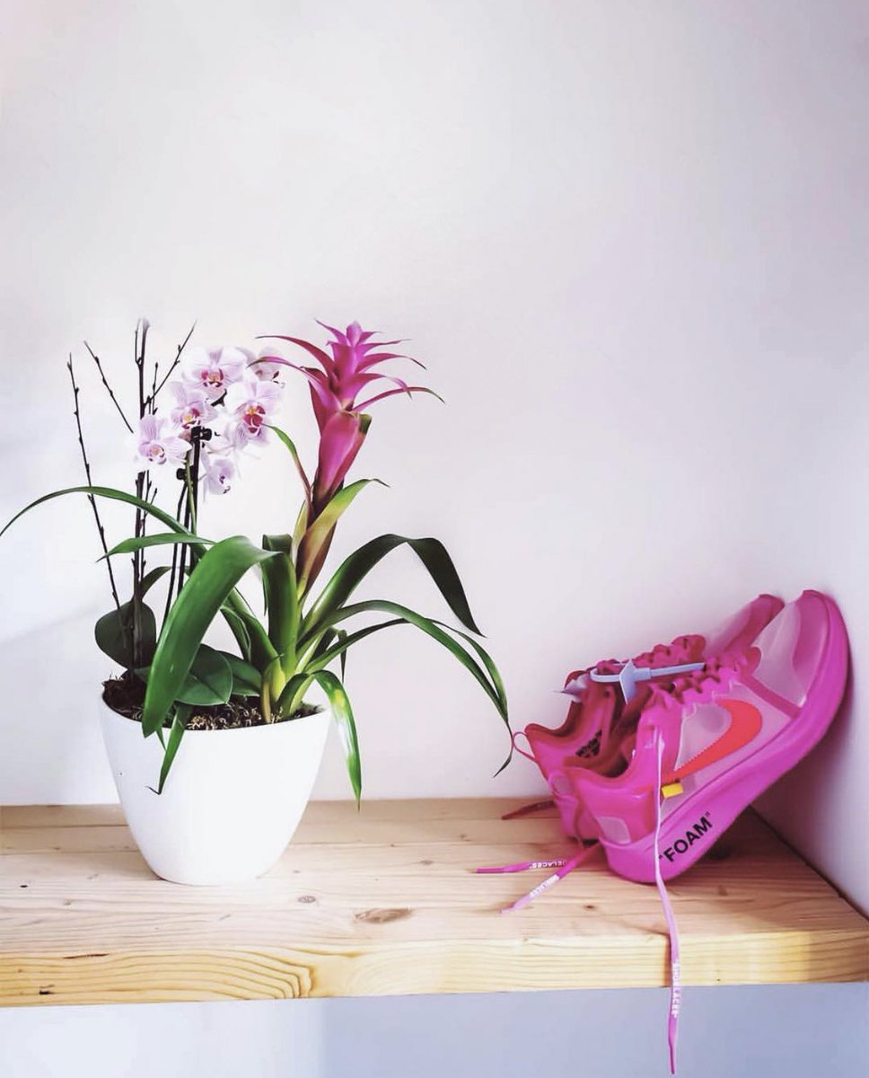 🌷💘💘
#JustUnboxed