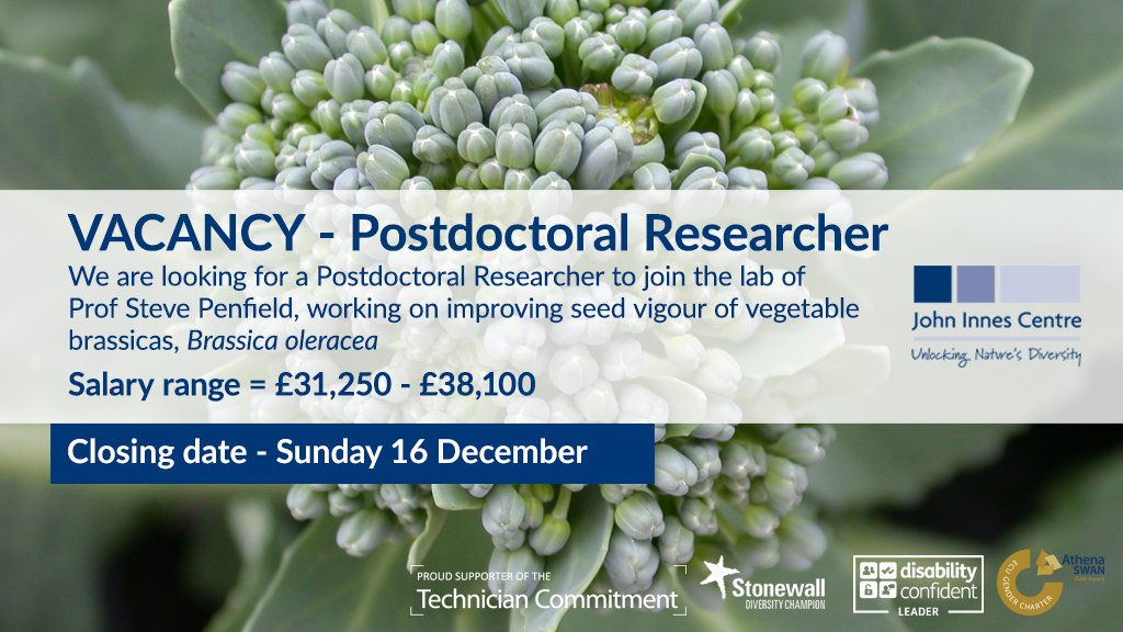 POSTDOC VACANCY - We are looking for a Postdoctoral Researcher to join the lab of Prof Steve Penfield, working on improving seed vigour of vegetable brassicas, Brassica oleracea okt.to/8xIHEM #scicomm #scijob
