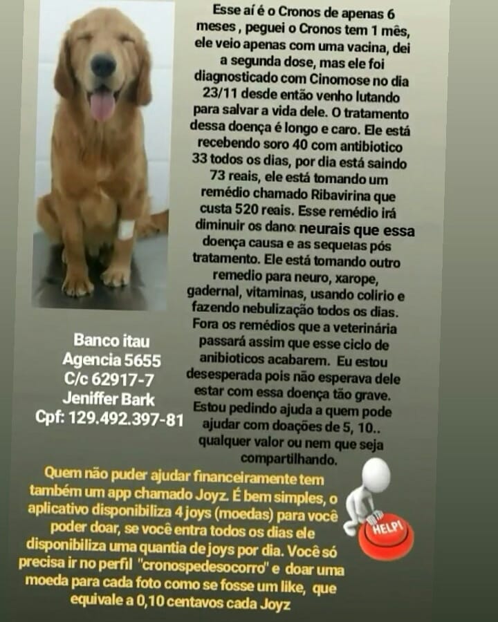 bark_jeniffer's tweet photo. Nunca fui de publicar no Twitter, nem sei muito bem como funciona. mas estou desesperada cm o caso do meu filhotinho e vim tentar ajuda aqui também.. Cronos meu filhotinho de 6 meses foi diagnosticado com Cinomose. Nas imagens mais detalhes. https://t.co/fCHDiZUtVM