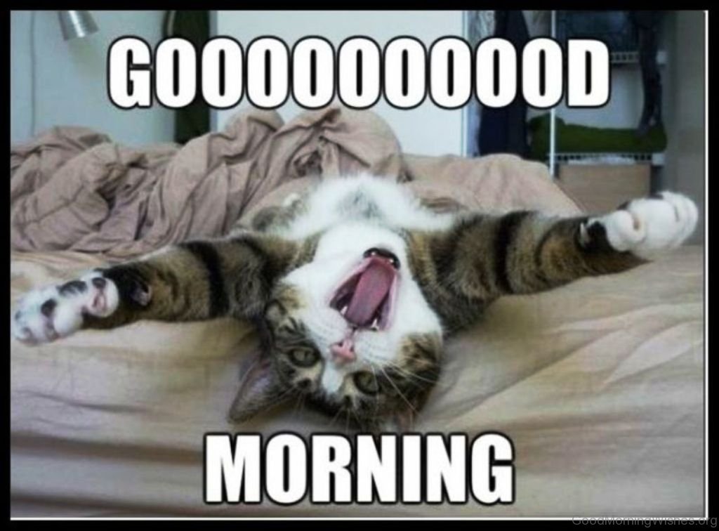 Доброе сонное утро. Как встать рано картинки. Только проснулись картинки. Доброе утро котик. Открытка проспала.