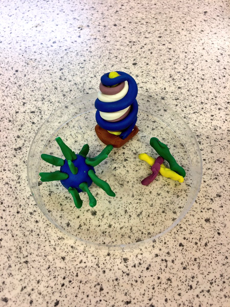 KESBathJunior's tweet photo. Watch out! There are lots of microbes in the science lab #KESScience https://t.co/vKtNMw2vfE