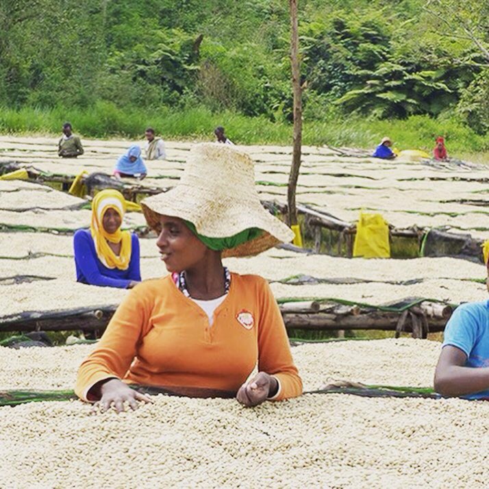 plainedaromes's tweet photo. Recette d'un Bon Café : Respect et Soin apportés aux Terroirs + Expertise et Qualité du Travail Humain #cafedespecialité #cafebio torréfiés en France, exclusifs créés pour vous!!
#maplanetededemain #savoirfaireartisanal #torrefactionfrancaise #engagmentsocietal https://t.co/tZPA4u2VW8