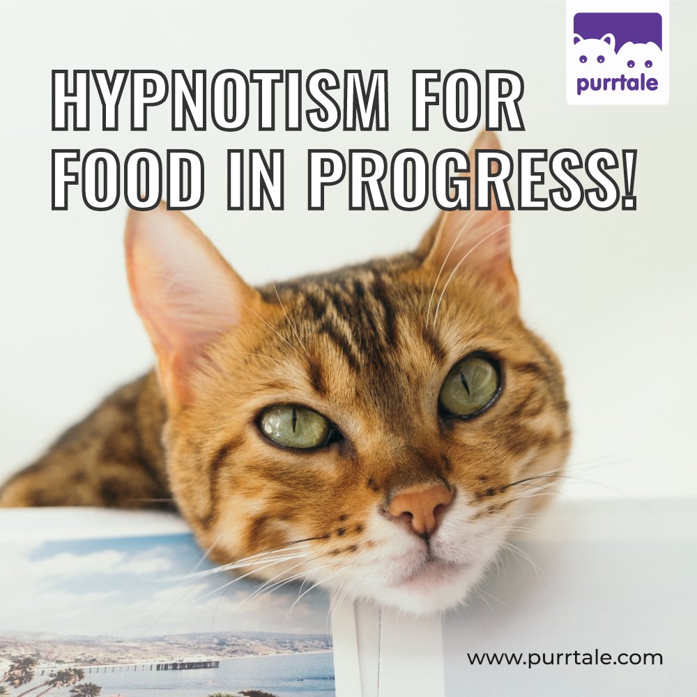 purrtale's tweet photo. When your pet tries to hypotise you into feeding it...
#cats #CatsOfTwitter #meme https://t.co/mKFdzRB9EQ
