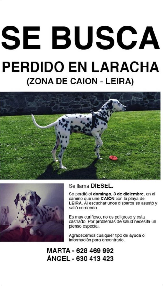 Se agradece toda la difusión posible ☹️