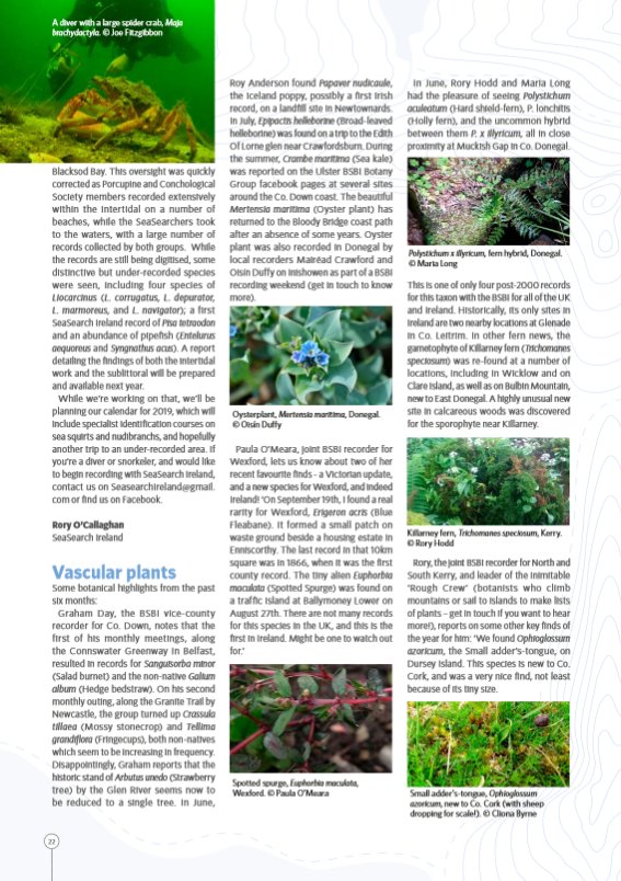 Don't forget, you can grab yourself a free download of our latest issue of Biodiversity Ireland and find out all the latest news and #BiodiversityTales from around the country #BiodiversityIreland #AutumnWinter

biodiversityireland.ie/wordpress/wp-c…