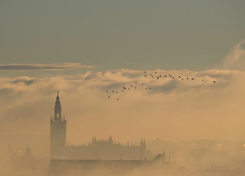 Una de las mejores fotos que he visto en mi vida, así ha amaneido Sevilla...
📷 Diario de Sevilla