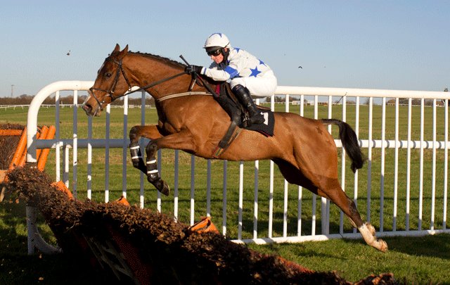 GoffsUK's tweet photo. The @d_g_hogan trained JACK THE WIRE will be offered at this week's December Sale. The Gr. 2 placed gelding by @shadeoakstud Scorpion is a winner over both hurdles and fences. View the Pedigree here: https://t.co/F0KSL8tKHh https://t.co/zPGFt12phS