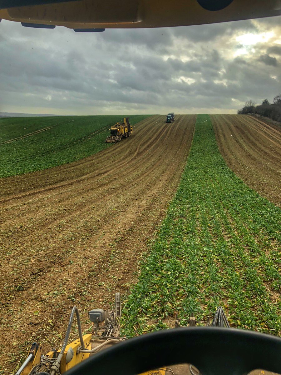 Office views don’t get much better👍🏼 <a href="/BritishSugar/">British Sugar</a>