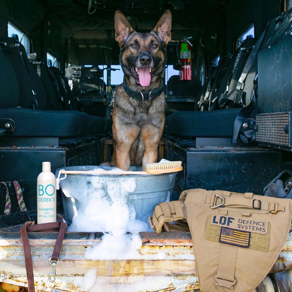 bo derek dog shampoo