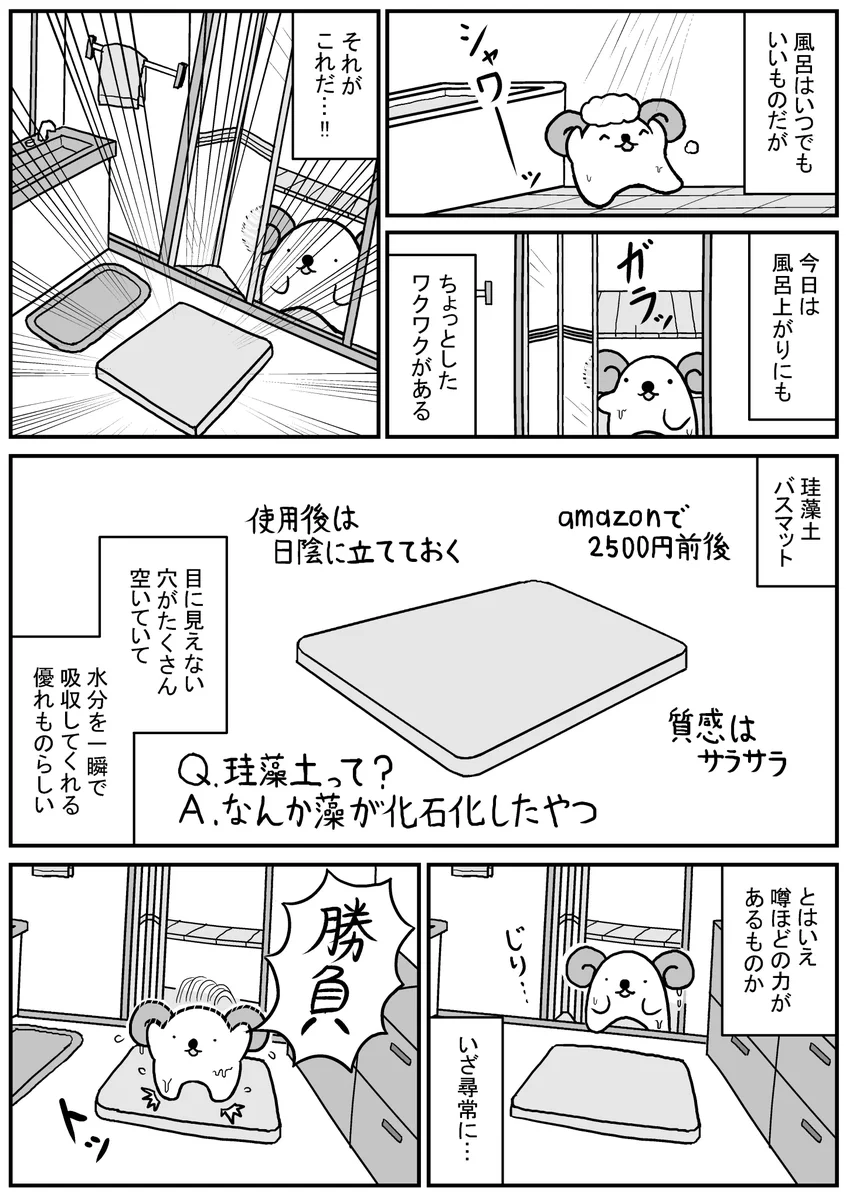 これはおススメ！話題の珪藻土バスマットww使ってみたらホントに良かった件