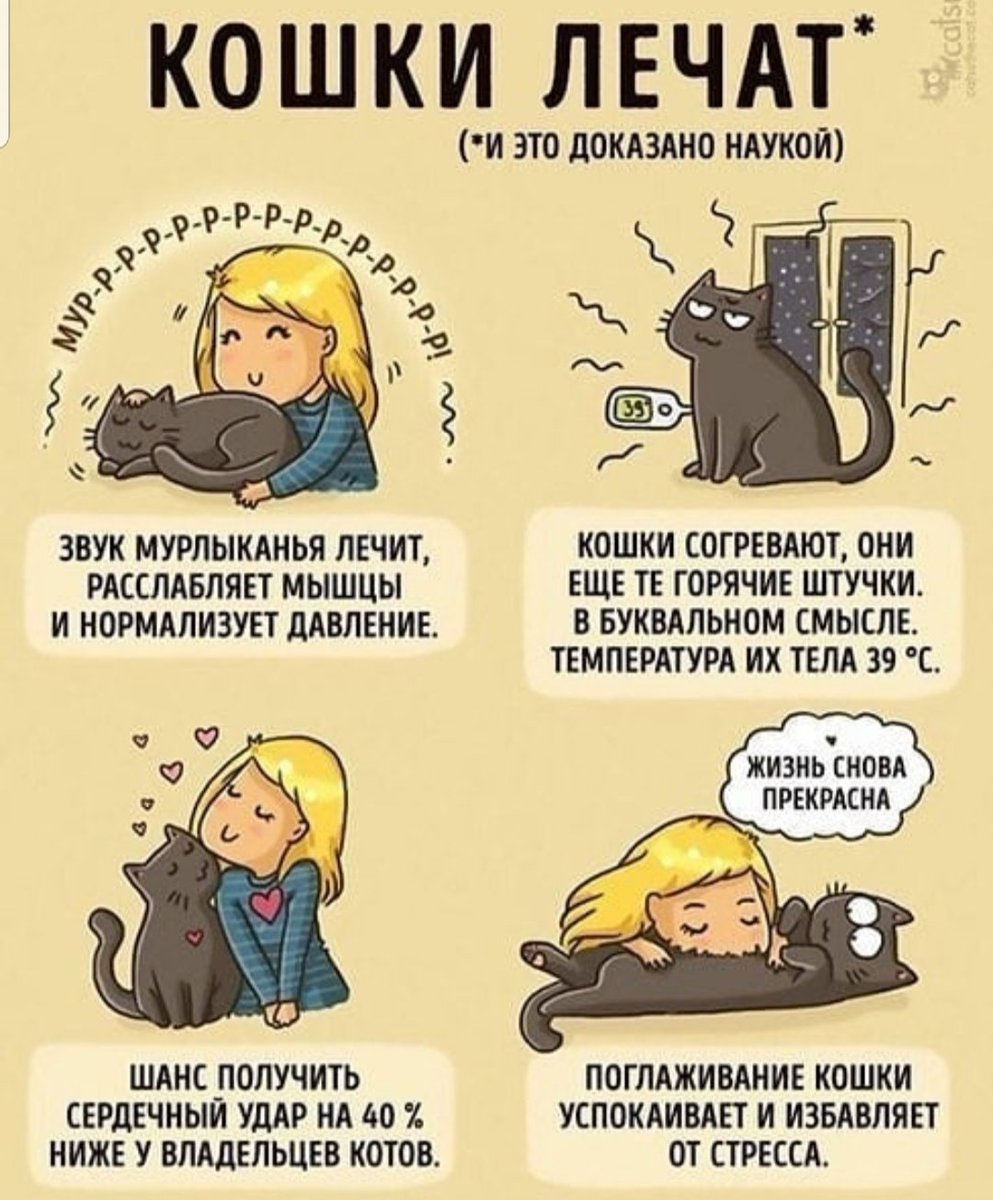 ole4kakovaleva's tweet photo. https://t.co/Jo71DorAZh