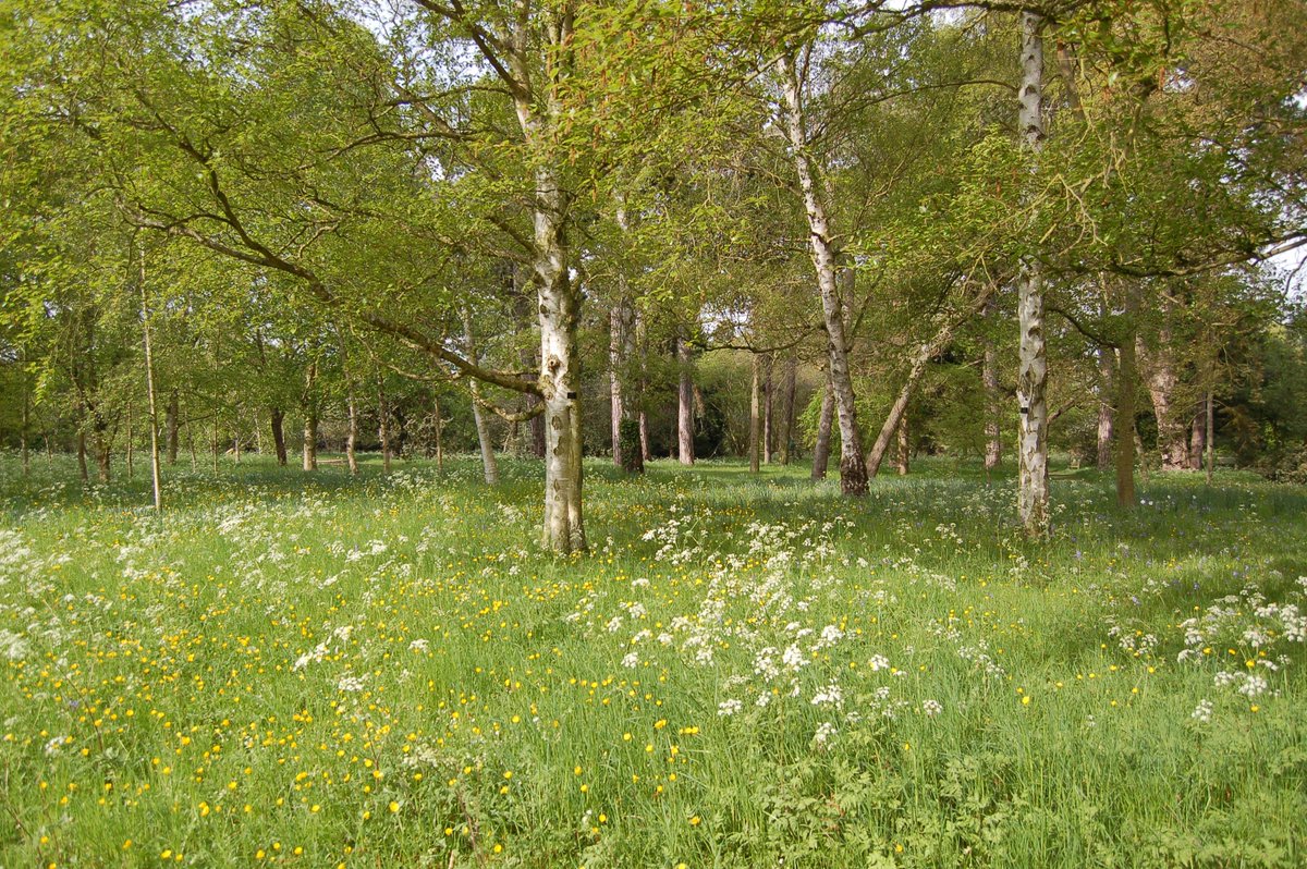 Do you have professional horticultural experience &amp; would love to work on our Trees &amp; Shrubs Section? Apply now for our Trees &amp; Shrubs Assistant job - closing date Sunday 9 December. For further info see our website: botanic.cam.ac.uk/Botanic