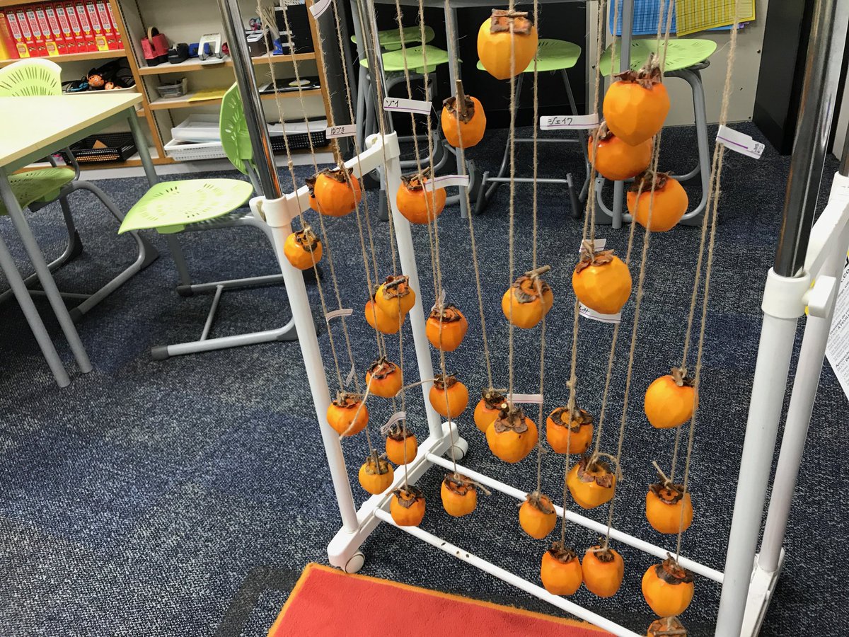 asijJessee's tweet photo. #G2JPClass prepared to make dried parssimoms, which is one of the Japanese traditions in winter.  More to come for 2nd graders this year! https://t.co/nUJPkwA9xd