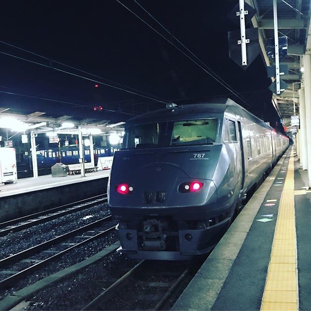 黒いかもめ