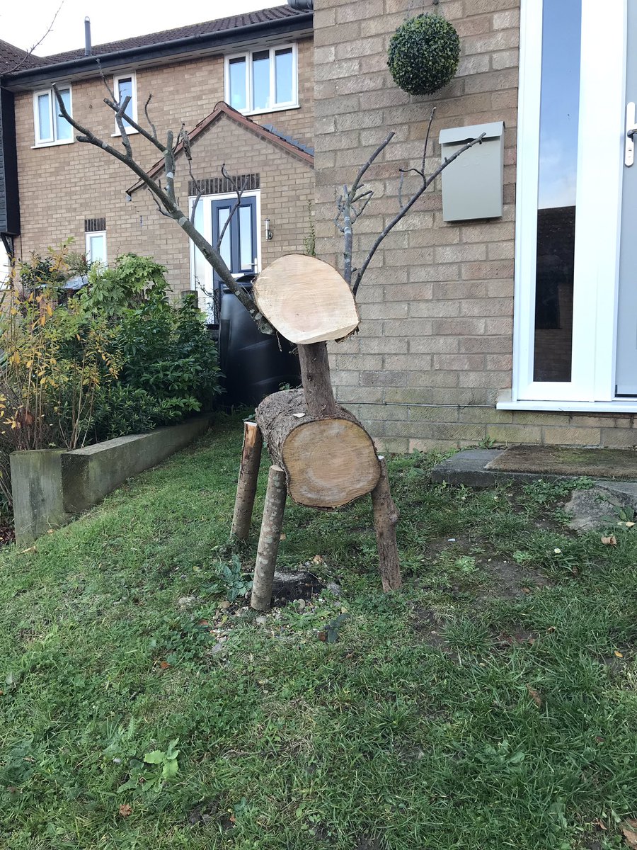 Little Pumpkins tweet media