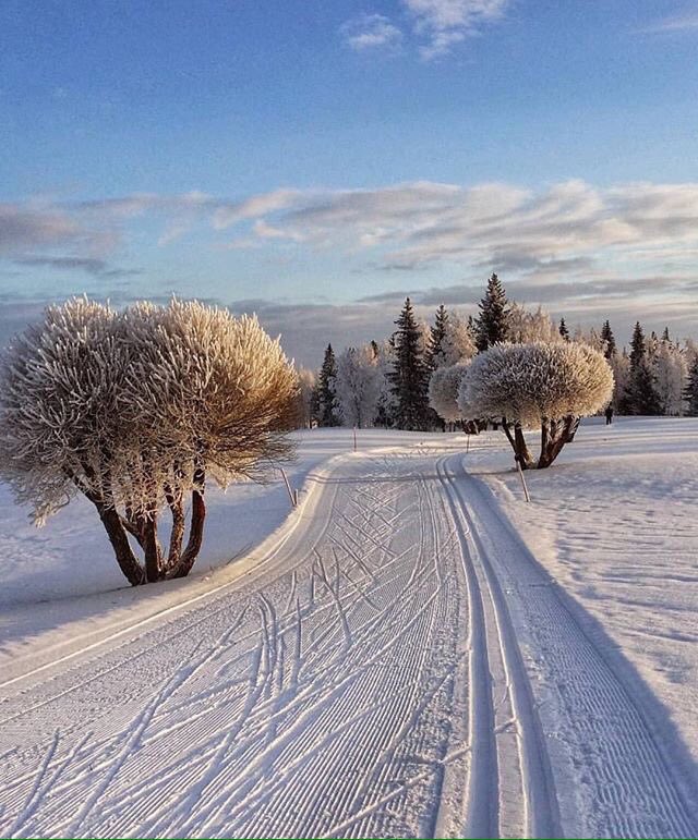 Amber02150's tweet image. 🌥Under a Winter sun☃️🧣🧤

#SnowVibes ⛄️🧣🧤