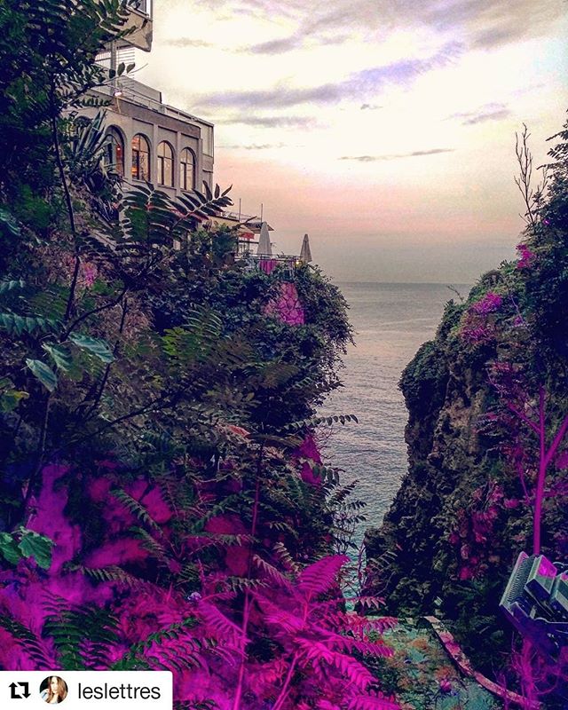 KeyfiAntalya's tweet photo. Fotoğraf icin teşekkürler
leslettres 
#antalyaturkey #ig_antalyacity #antalyadayasam #markantalya #photoantalya #antalyada #antalyam #igersantalya #instaantalya #antalyaphotos #antalyablogger #fullantalya #nature_antalya #antalyagunlugu #antalyalara #ig_antalya #antalyadan #inst https://t.co/ZTrqPBOFna